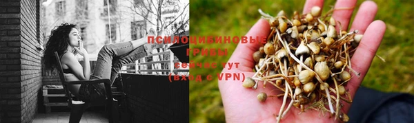 а пвп мука Заволжск