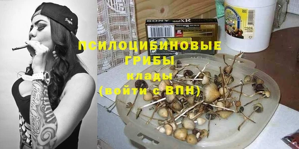 амф Заволжье