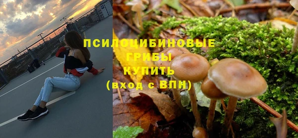 амф Заволжье