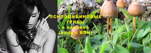 амф Заволжье