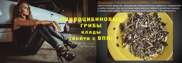 гашиш Заводоуковск