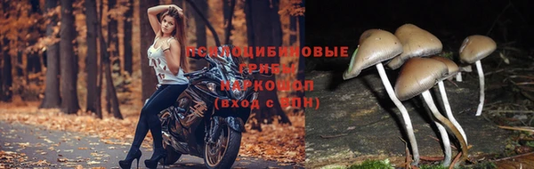 гашиш Заводоуковск