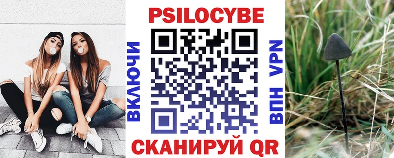 Псилоцибиновые грибы Magic Shrooms Злынка