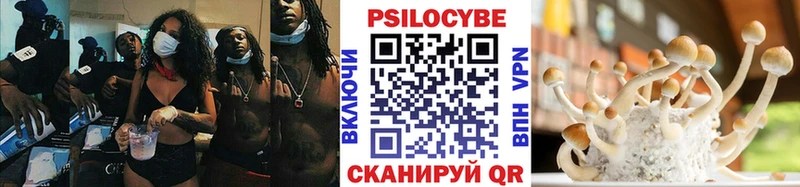 Купить где  Злынка  Псилоцибиновые грибы MAGIC MUSHROOMS 