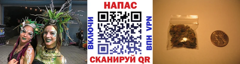 Купить где  Злынка  Марихуана гибрид 
